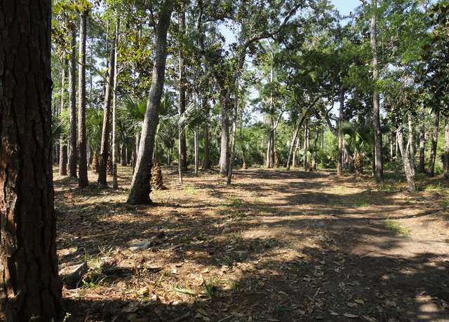 Property at 114 Melanie Ln, Apalachicola, FL 32320
