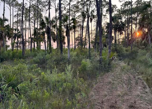 Property at 2375 Sr 30-a, Port St. Joe, FL 32456