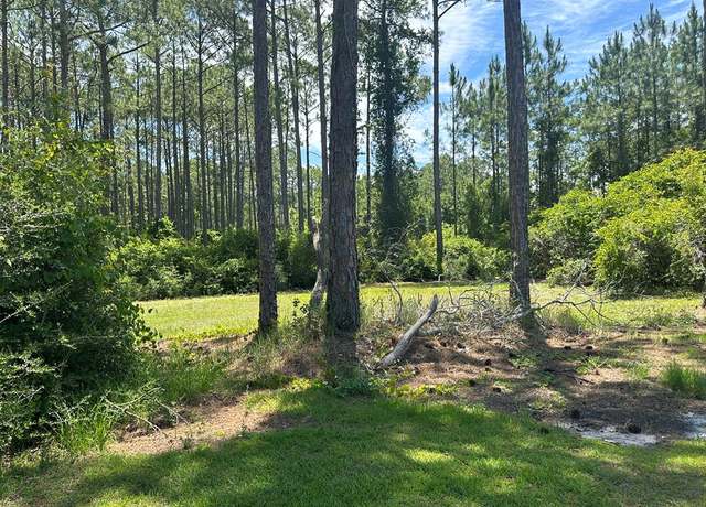 Property at 102 Royal Tern Way, Carrabelle, FL 32322