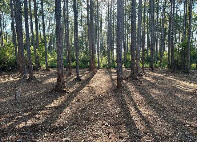 Property at 176 Royal Tern Way, Lanark Village, FL 32323