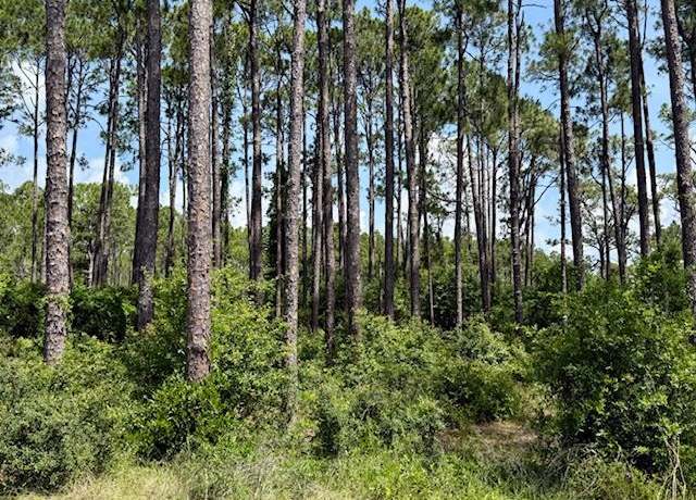 Property at 3471 Firefly Cir, Carrabelle, FL 32358