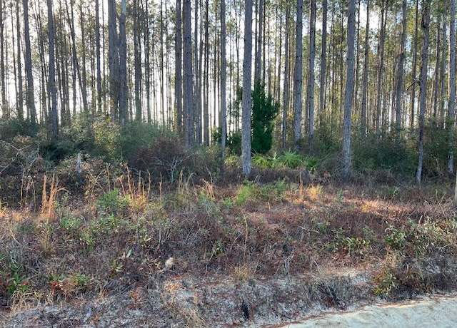 Property at 13 Douglas Landing Rd, Wewahitchka, FL 32465