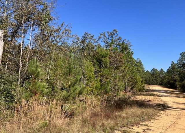 Property at LOT 30 Yvette Dr, Alford, FL 32420
