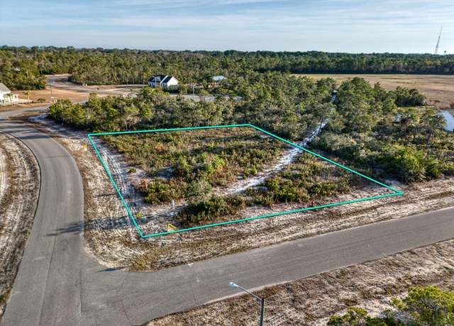 Property at 246 Sago Dr, Eastpoint, FL 32328