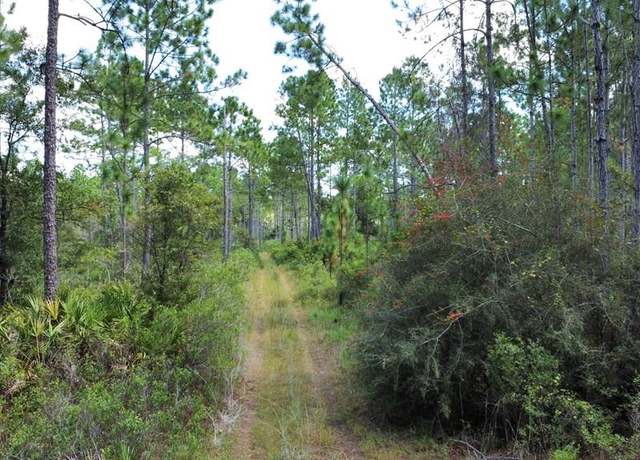 Property at 151 Al's Lndg, Eastpoint, FL 32328