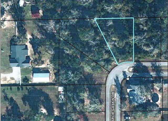 Property at 27 Charlie Gaskin Dr, Wewahitchka, FL 32465