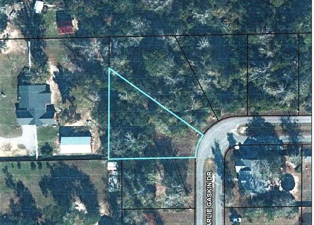 Property at 25 Charlie Gaskin Dr, Wewahitchka, FL 32465