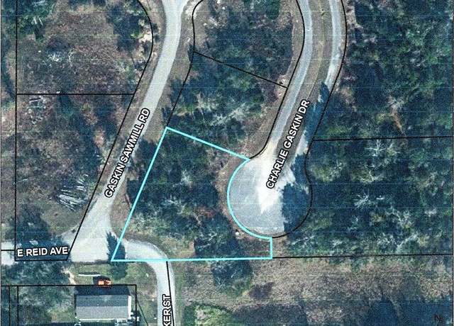 Property at 35 Charlie Gaskin Dr, Wewahitchka, FL 32465