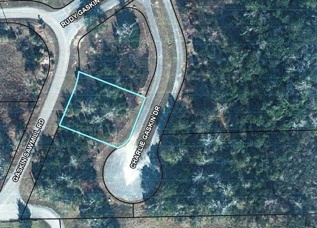 Property at 36 Charlie Gaskin Dr, Wewahitchka, FL 32465