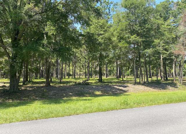 Property at 4810 Cr 381, Wewahitchka, FL 32465