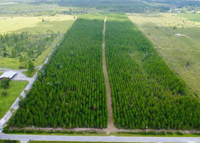 Property at TBD Borders Rd, Wewahitchka, FL 32465
