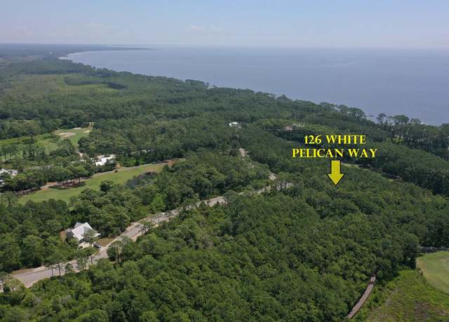 Property at 126 White Pelican Way, Carrabelle, FL 32323