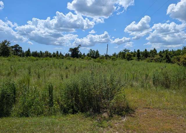 Property at 111 Goldenrod Ln, Wewahitchka, FL 32465