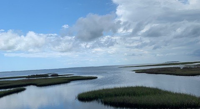 Photo of LOT 19 Cord Grass Way, Port St. Joe, FL 32456