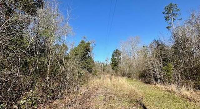 Photo of Lot 4 Pineview Dr, Wewahitchka, FL 32465