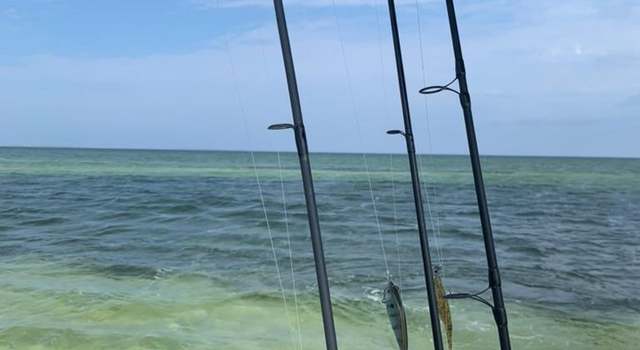 Photo of 4224 Sr 30-a, Port St. Joe, FL 32456