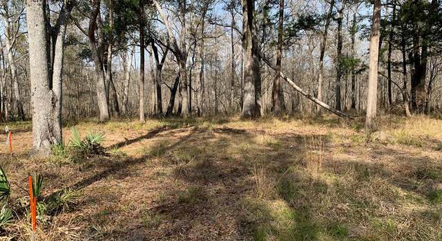 Photo of Lot 5 Big Cedar Rd, Ponce De Leon, FL 32455