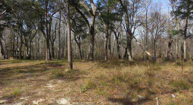 Photo of Lot 5 Big Cedar Rd, Ponce De Leon, FL 32455