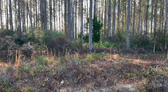 Photo of 13 Douglas Landing Rd, Wewahitchka, FL 32465