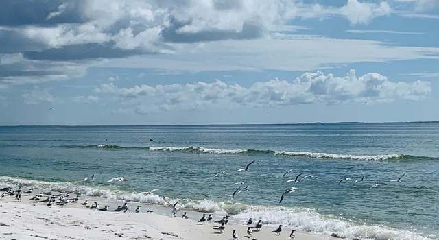 Photo of 112 Tyler Ter, Port St. Joe, FL 32456