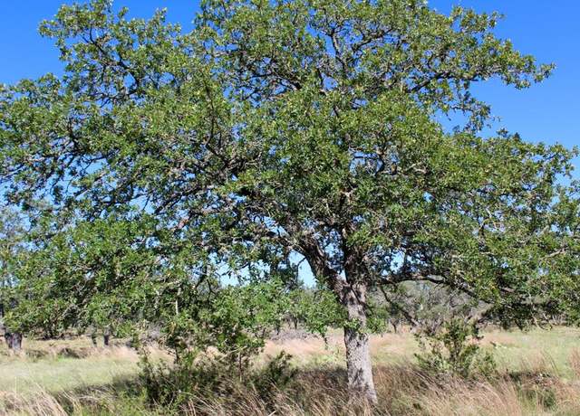 Property at 165 Apache Trce, Harper, TX 78631