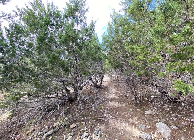Property at Lot 100 Pr 1509, Bandera, TX 78003