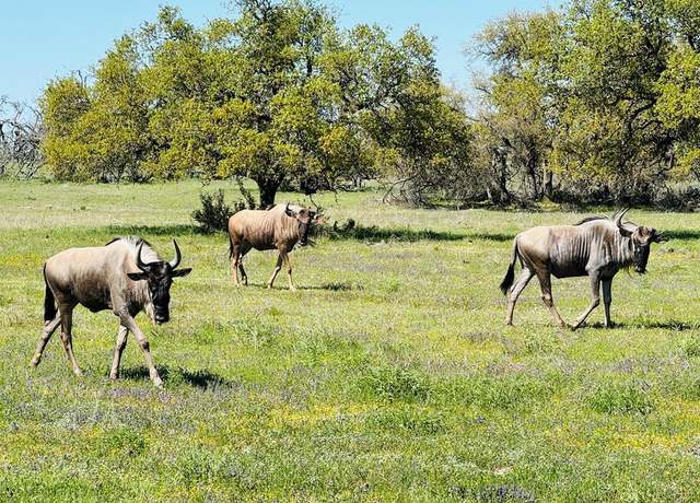 Property at 0 Fallow Dr, Harper, TX 78631