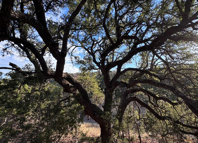 Property at 230 Marshall Dr, Kerrville, TX 78028