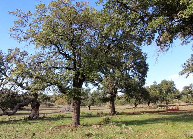 Property at 963 Josephine St, Harper, TX 78631