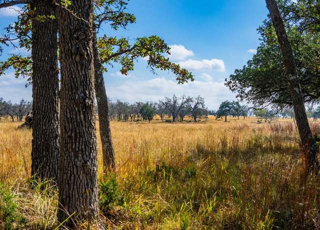 Property at Lot 12 Other, Harper, TX 78631