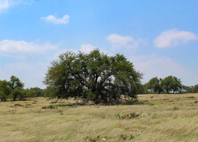 Property at 132 Elan Ln, Harper, TX 78631