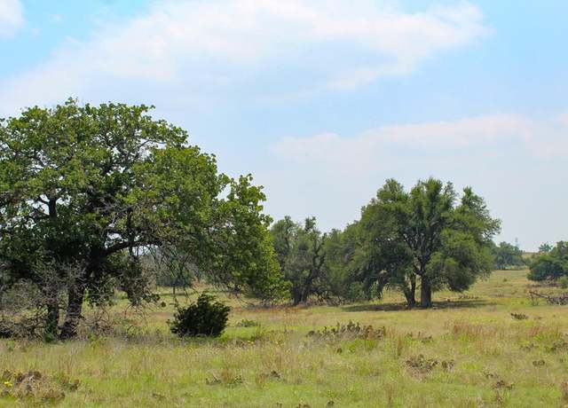 Property at 180 Nantan Ln, Harper, TX 78631