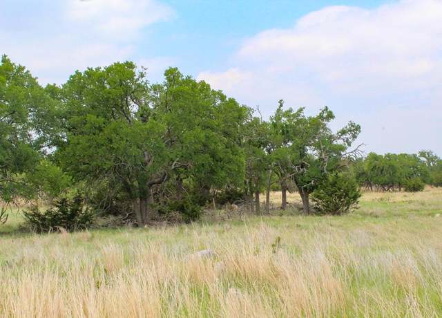 Property at 273 Nantan Ln, Harper, TX 78631