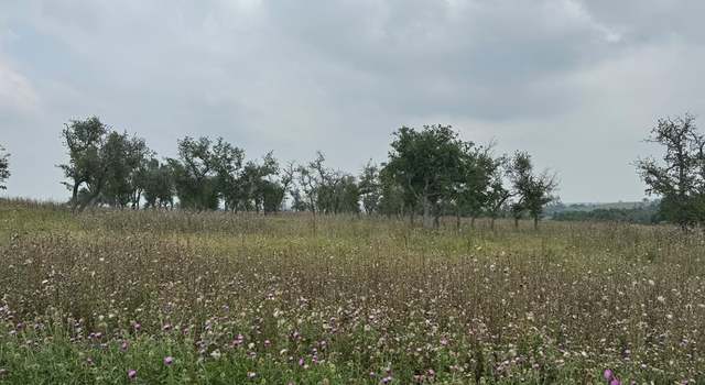 Photo of LOT 51 Badger Ridge Rd, Fredericksburg, TX 78624