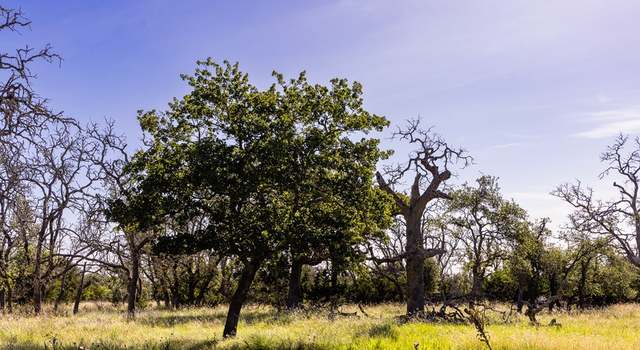 Photo of 197 NW Rustler Rdg, Mountain Home, TX 78058