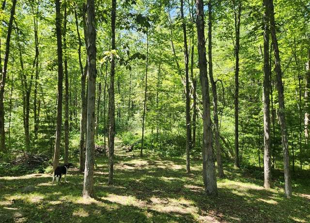 Property at Lot 7 Delargy Rd, Hardwick, MA 01037