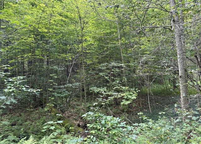 Property at 139 Taylor Brook Rd, Heath, MA 01346