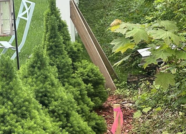 Property at 13 Overlook Ave, Webster, MA 01570