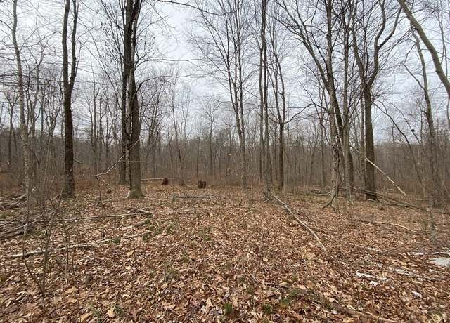 Property at Lot 169-22 Beebe Rd, Monson, MA 01057