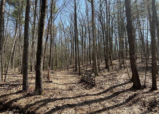 Property at Lot 4, January Hills Rd, Shutesbury, MA 01072