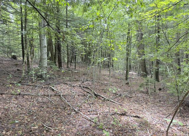 Property at 0 John Ford Rd, Ashfield, MA 01330