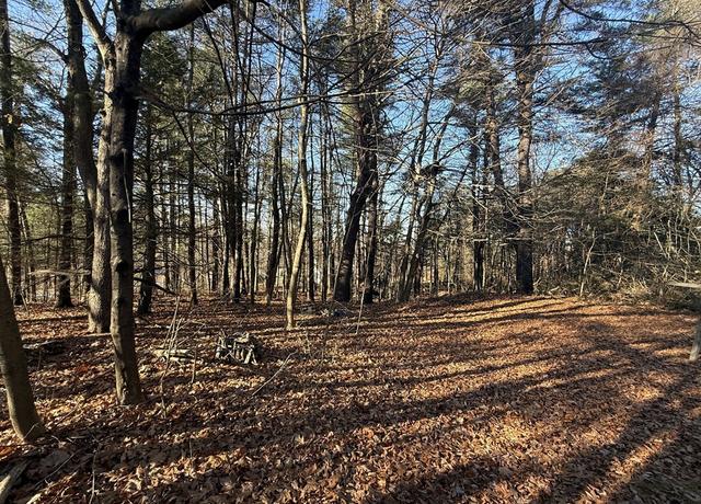 Property at 0 Lyman Barnes Rd, Brimfield, MA 01010