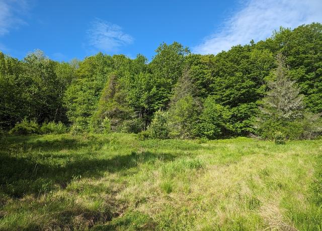 Property at 141 Ireland St, Chesterfield, MA 01096