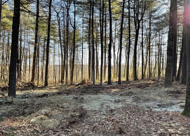 Property at Lot 38B Michael Sears, Belchertown, MA 01007