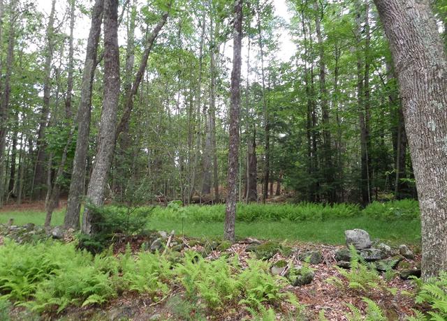 Property at 0 Pynchon Rd, Chesterfield, MA 01012