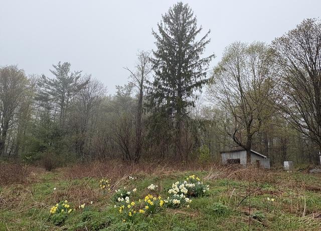Property at 63 Sugar Hill Rd, Chesterfield, MA 01096