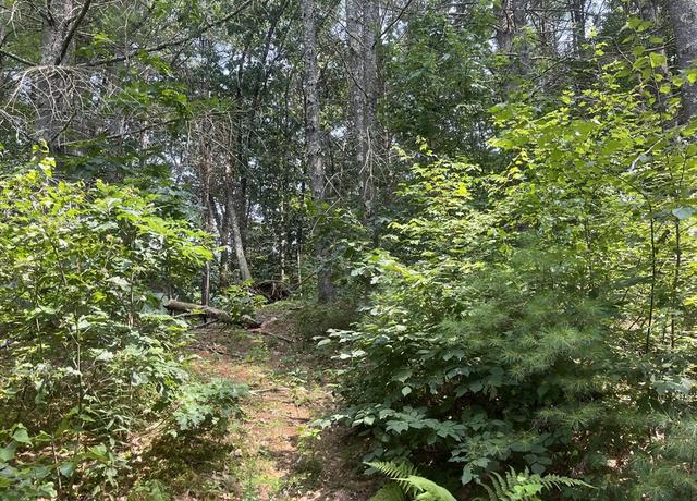 Property at 52 Stagecoach Rd, West Brookfield, MA 01585