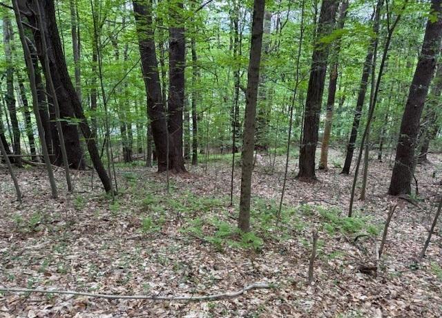 Property at 56 Brattleboro Rd, Bernardston, MA 01337