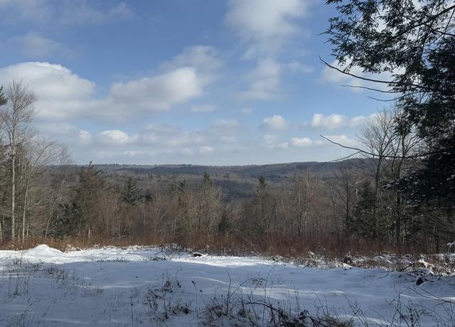 Property at 0 Blair Rd, Blandford, MA 01008