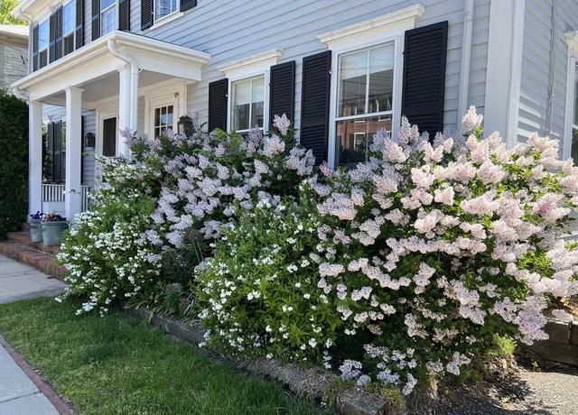 Property at 26 Court St #26, Dedham, MA 02026, 4 beds, 2.5 baths